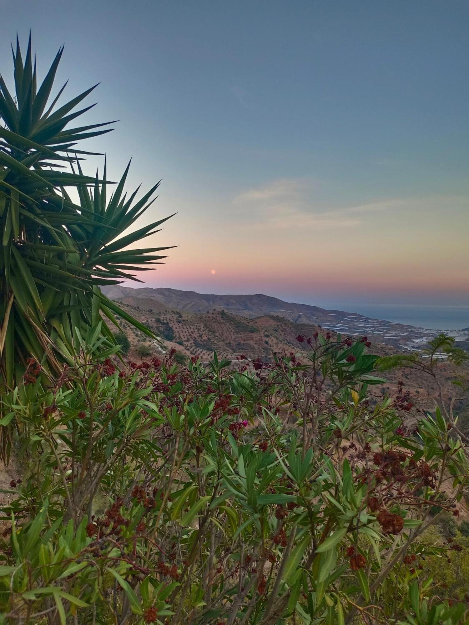 Albergue De Lujar Dış mekan fotoğraf